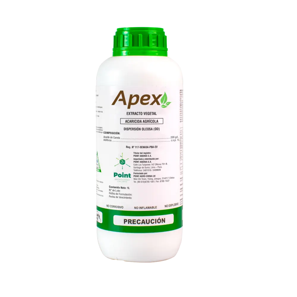 Apex